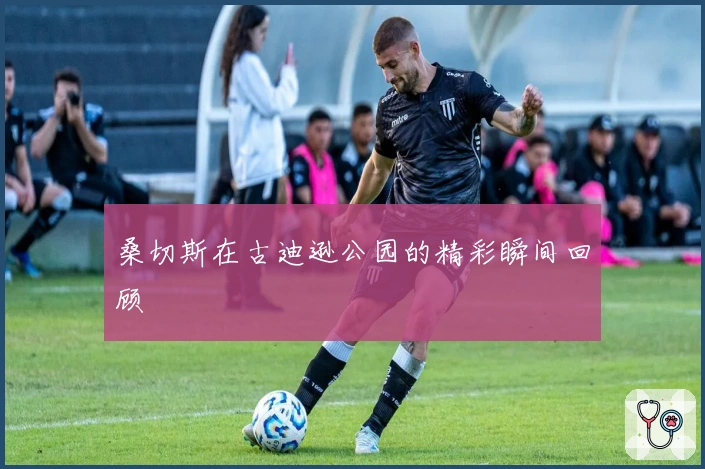 桑切斯在古迪逊公园的精彩瞬间回顾