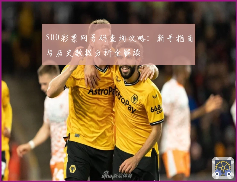 500彩票网号码查询攻略：新手指南与历史数据分析全解读